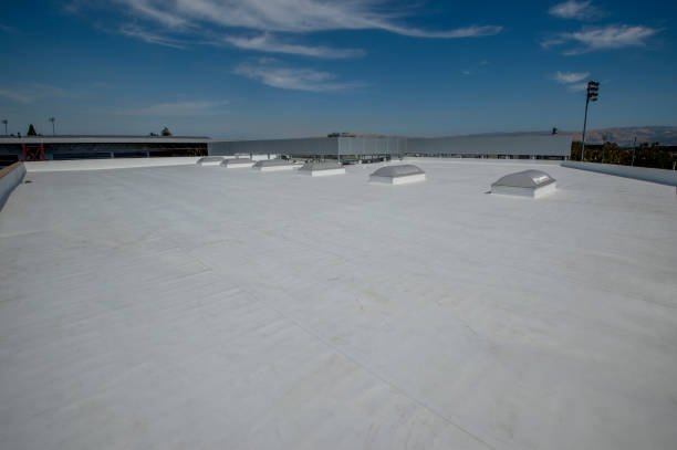 Best Steel Roofing  in Brightwaters, NY